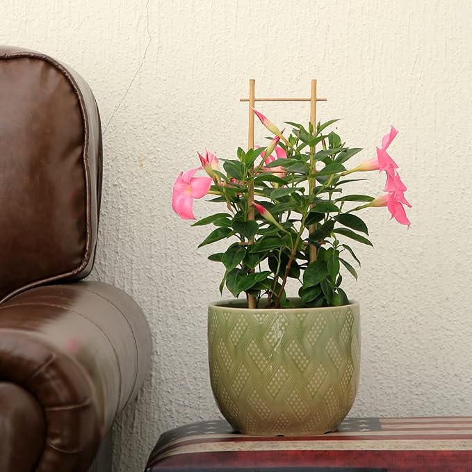3Pack Bamboo Trellis 16 Inch Ladder Shaped Small Plant Trellis - Image 6