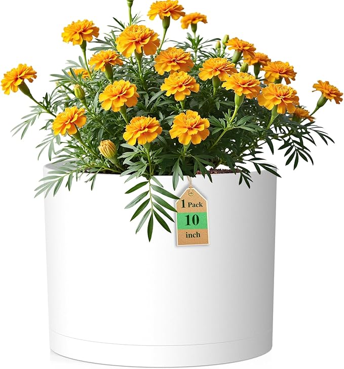 10 Inch Round Plastic Plant Pot by WSMKSZ