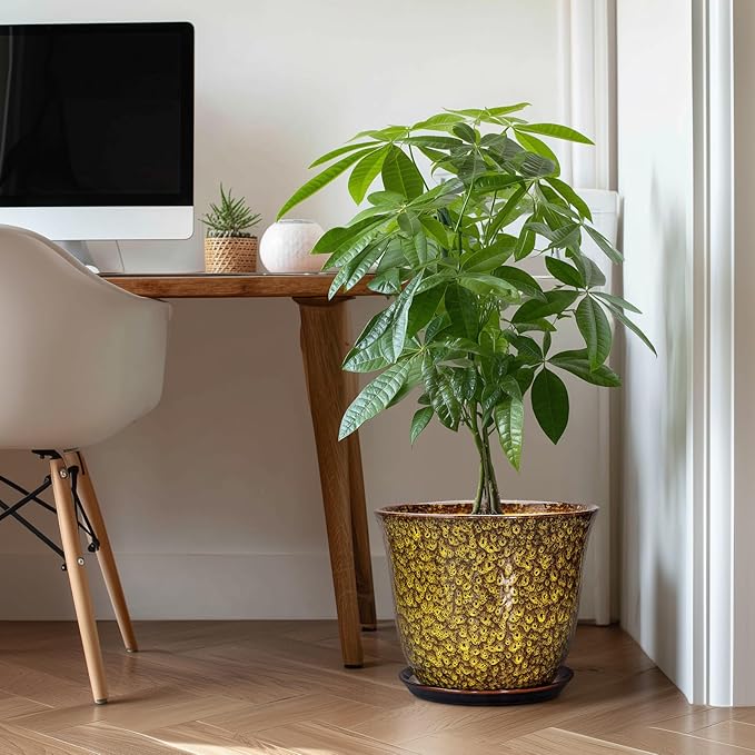 12 Inch Plant Pot - Image 3