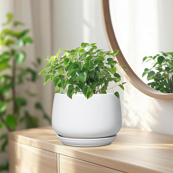 G EPGardening Ceramic Pots for Plants - Image 6