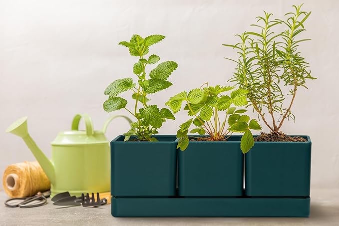 D'vine Dev Herb Garden Planter Set, Plastic Plant Pots - Image 4