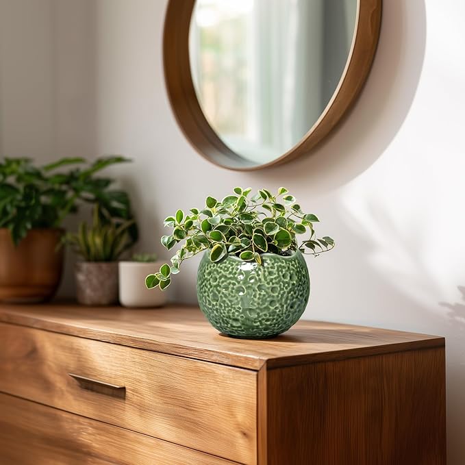 Ceramic Plant Pots - Image 6
