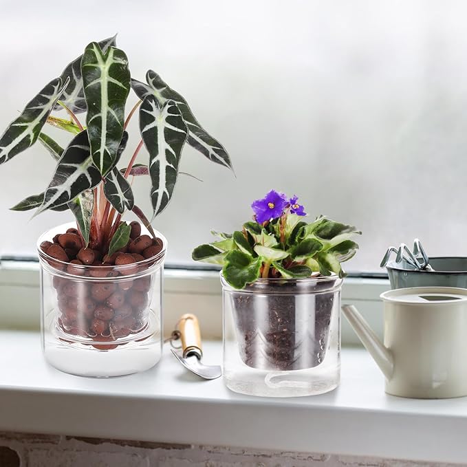 4 Inch Self Watering Pot, African Violet Pot, Bottom Watering Glass Planter - Image 4