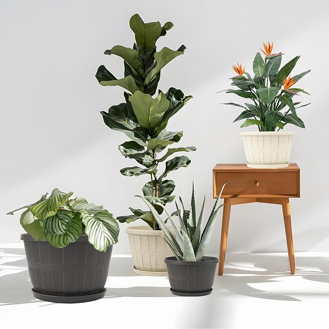Quarut 10 inch Plastic Flower Pots - Image 3