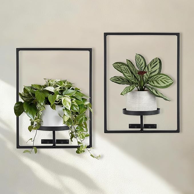 Sisher Plant Stand Indoor Outdoor, Window Plant Shelf Picture Frame Wall Plant by GetHightQualityBeddingComforterSetforYourRoom