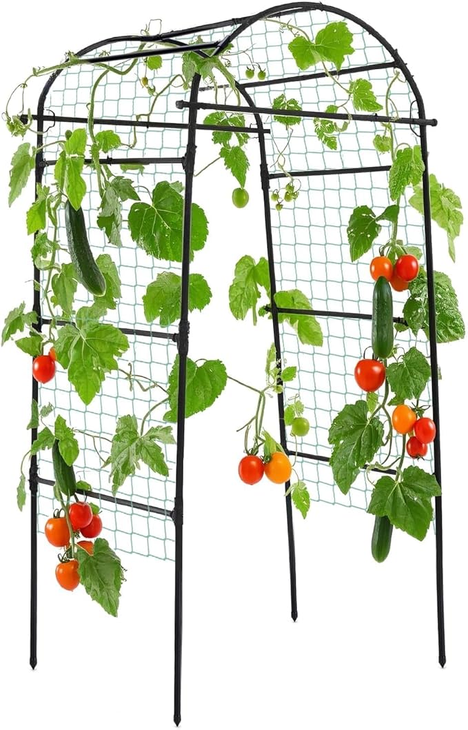 Lalahoni Garden Arch Trellis for Climbing Plants Outdoor, 80 Inch Tall Grape by Thereasonyoulovegardening