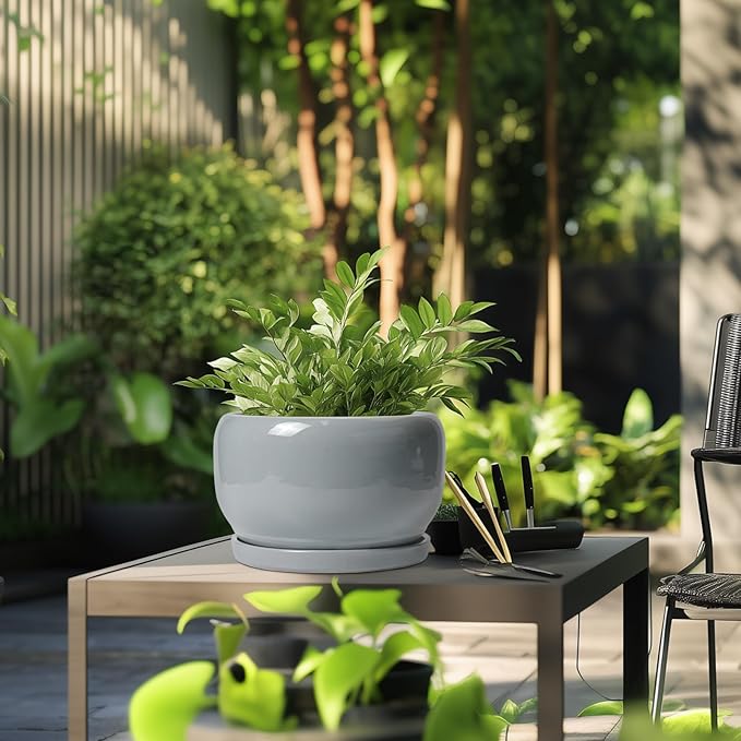 SQOWL 10 Inch Plant Pot - Image 5