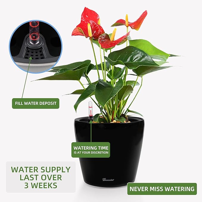 Dexceder 11x10 Inches High Gloss Self Watering Planter Indoor Outdoor, Inner - Image 5
