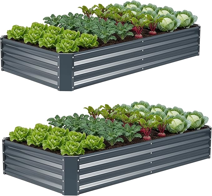 ZORMY 2Pack 6×3×1ft Galvanized Raised Garden Bed Kit, Metal Planter Boxes by ZORMY