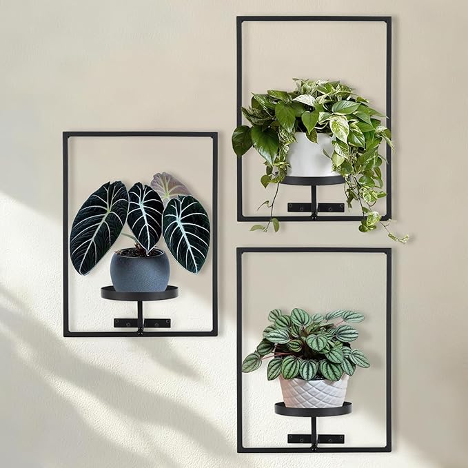 Sisher Plant Stand Indoor Outdoor, Window Plant Shelf Picture Frame Wall Plant by GetHightQualityBeddingComforterSetforYourRoom