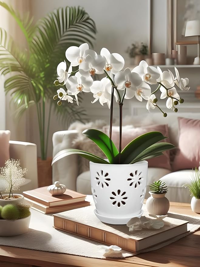 Oairse 6 inch Orchid Pots with Holes, Indoor Plant - Image 7