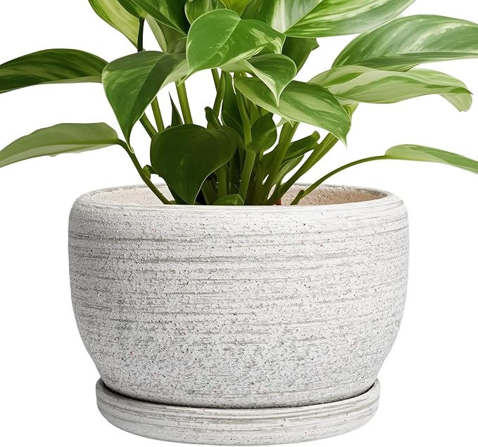 SQOWL Ceramic Plant Pots by SQOWL