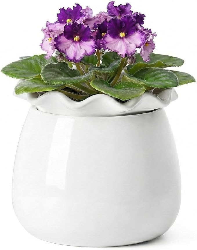 Self Watering Plant Pot, 6 Inch African Violet Pots Maintenance, Ceramic by FayoulasGarden