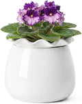 Self Watering Plant Pot, 6 Inch African Violet Pots Maintenance, Ceramic by FayoulasGarden