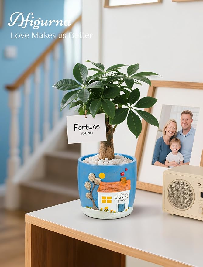 New Home Gift Ideas: New Home Apartment Plant Gift - Image 4
