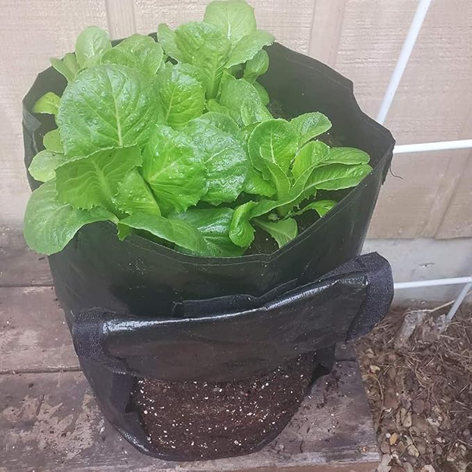 JJGoo Potato Grow Bags, 4 Pack 10 Gallon - Image 9