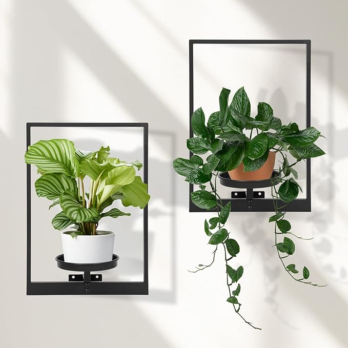 Wall Plant Holder Window Plant Shelves Set of 2, Wall Planters by STORENIZATION