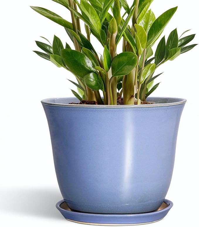 Ceramic Plant Pots by SUNPOTFOR