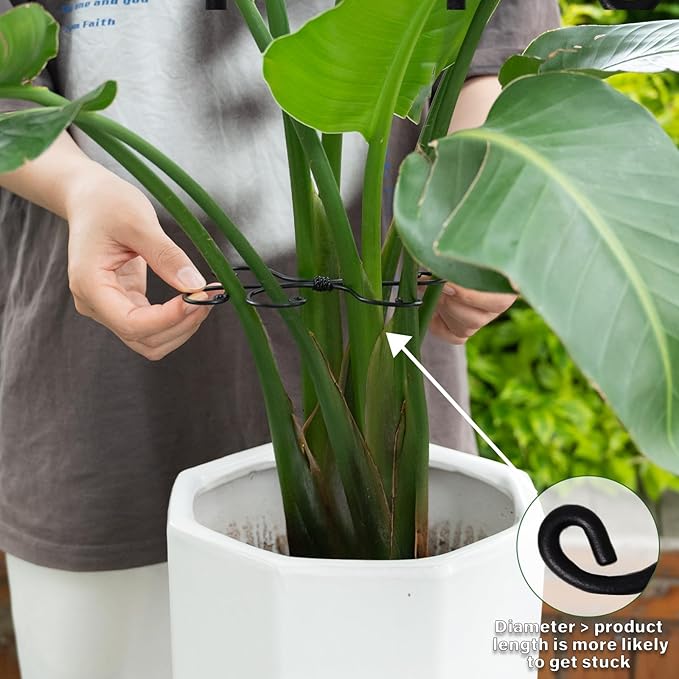 Black Monstera Plant Support Hook - Image 4