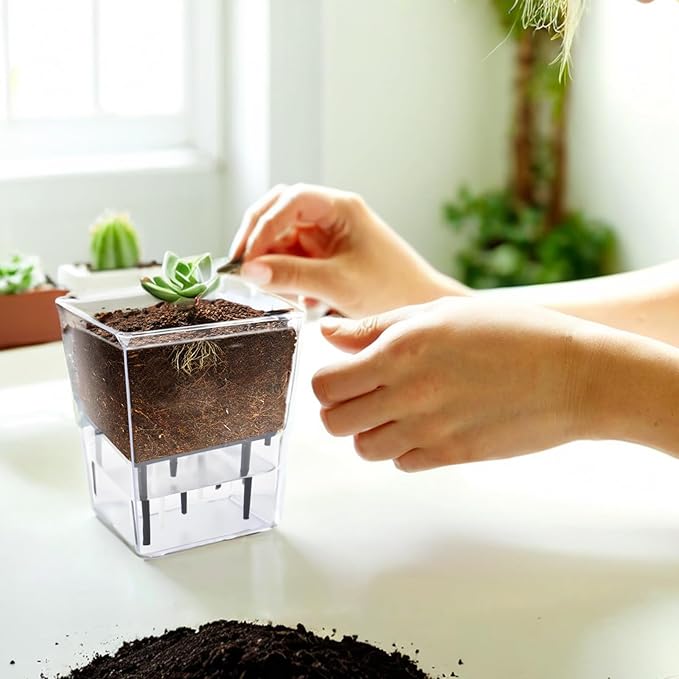 Self Watering Pots Set, 3 Pack 2.7 Inch Pots - Image 8