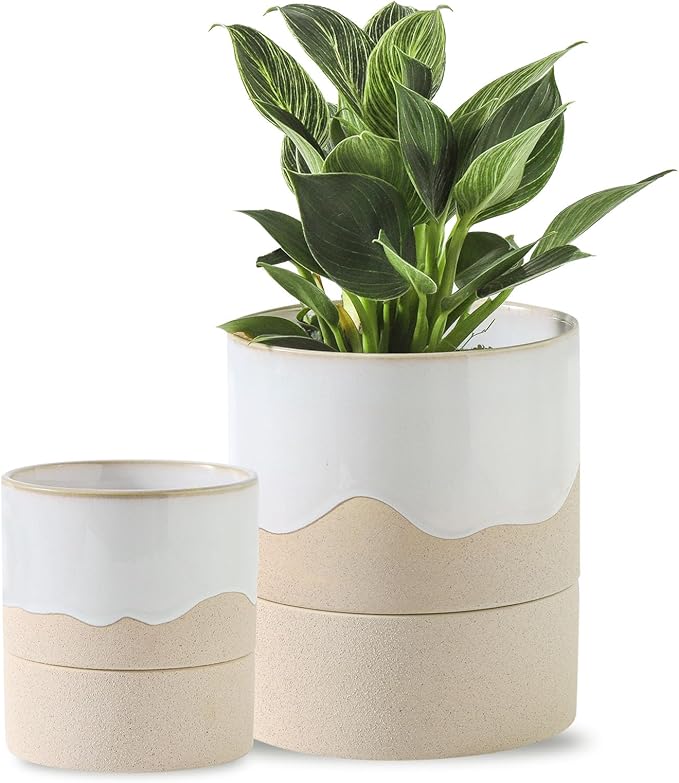 Nihow Self Watering Plant Pot for Indoor Plants: 4.5+6 Inch Ceramic Planter by Nihow