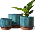 LE TAUCI Ceramic Plant Pots by LETAUCI