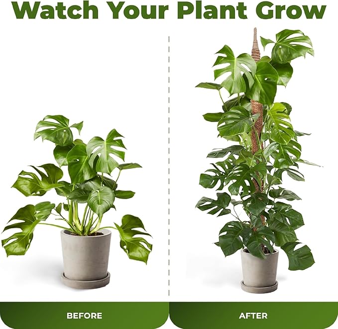 2 Pack 63 Inch Bendable Moss Pole Monstera Plant Support Stakes - Image 5