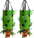 2 Pack Green Upside Down Tomato & Herb Planter, Outdoor Hanging Durable by Homyhoo