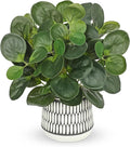 12" Artificial Plants Indoor Small Fake Plant in Ceramic Pot, Silk Plants by VillaComo