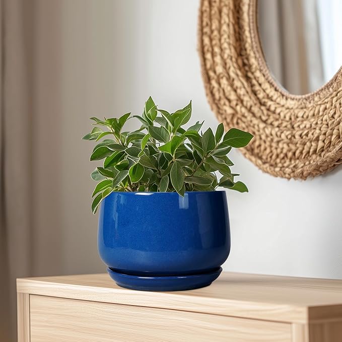 G EPGardening Ceramic Pots for Plants, 9 Inch Modern Round Planter - Image 5