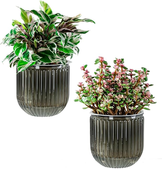 Melphoe Self Watering Pots for Indoor Plants Planter, 5.3 Inch 2 Pack Planters by Melphoe
