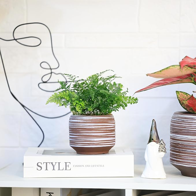Mini Succulent Planter Set – 3.7 Inch Ceramic Pots - Image 7