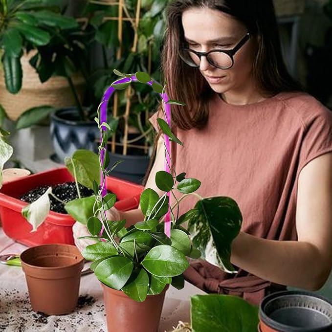 3 Pack Colorful Acrylic Plant Trellis - Image 5