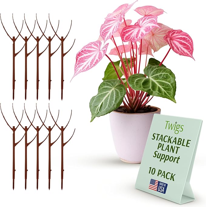 Stackable Plant Support Stakes, Indoor & Outdoor Houseplant Stem Support by TwigsGardenAccessories