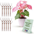 Stackable Plant Support Stakes, Indoor & Outdoor Houseplant Stem Support by TwigsGardenAccessories