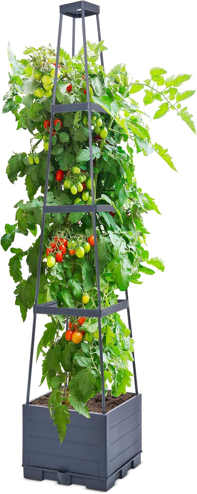 GENMOUS 4 Tiered Tomato Planter by GenMousCo
