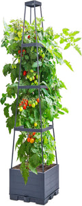 GENMOUS 4 Tiered Tomato Planter by GenMousCo