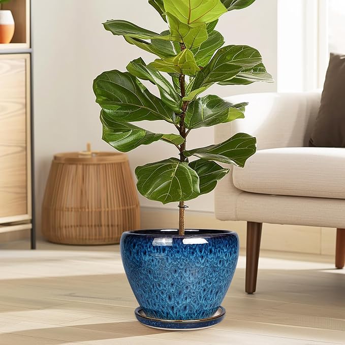 8 Inch Ceramic Plant Pot, Ceramic Planter Pot - Image 2