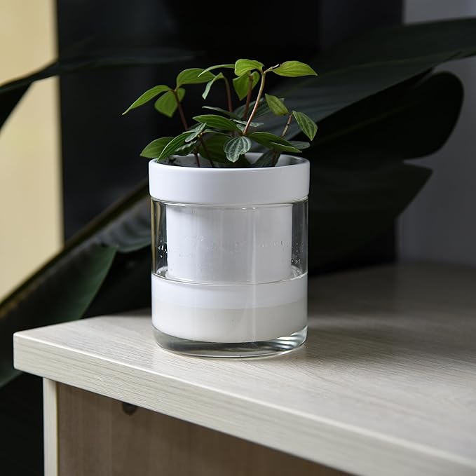 Phoenix Vine 4 Inch Self Watering Planter - Image 5
