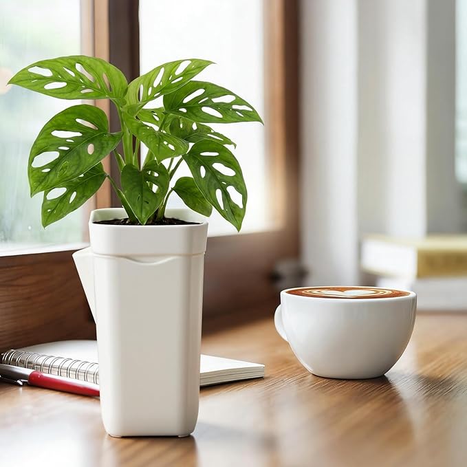 LemonRoad 20 Pack 2" Small Self Watering Pots - Image 6