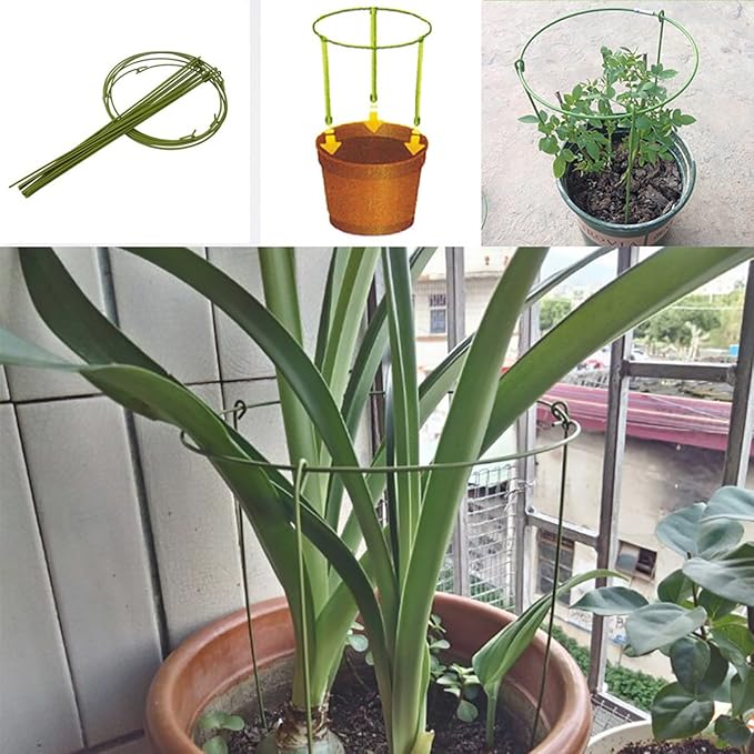 Hanobo 5 Pack Garden Plant Support Rings - Image 4