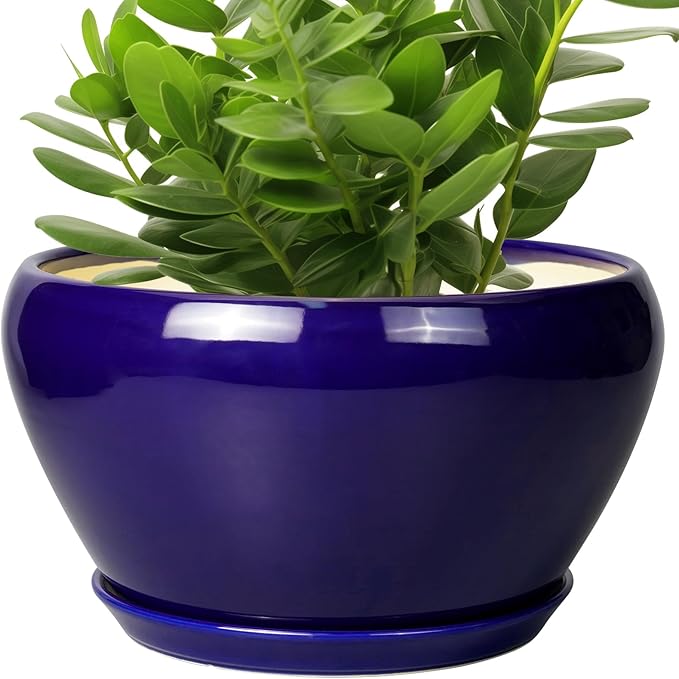 Ceramic Pot for Plants by Ceramicfor