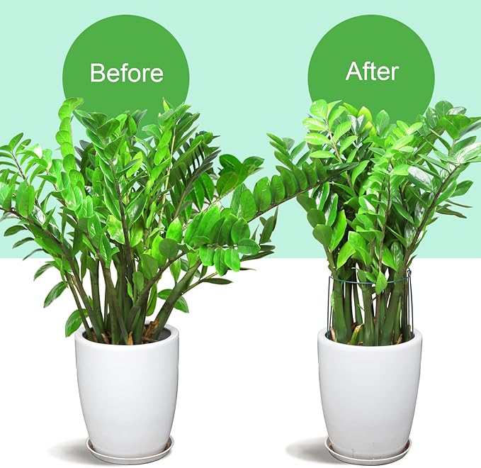 LEOBRO 12PCS Plant Supports, Peony Cages and Supports, Plant Stakes, Plant - Image 7
