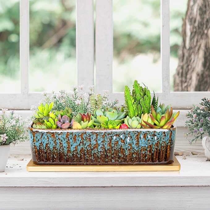 Succulent Pots - 12 Inch Large Succulent Planters - Image 6