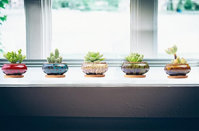 Cute Ceramic Succulent Garden Pots, Planter - Image 4