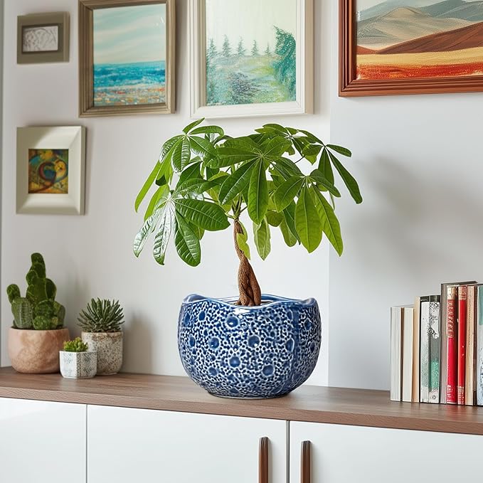 Ceramic Pots for Plants - Image 6