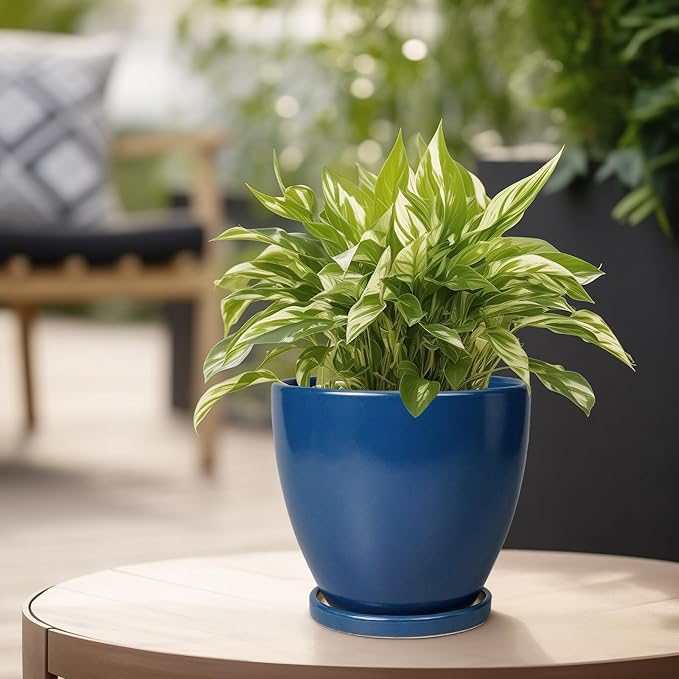 6.8 Inch Plant Pot - Image 5