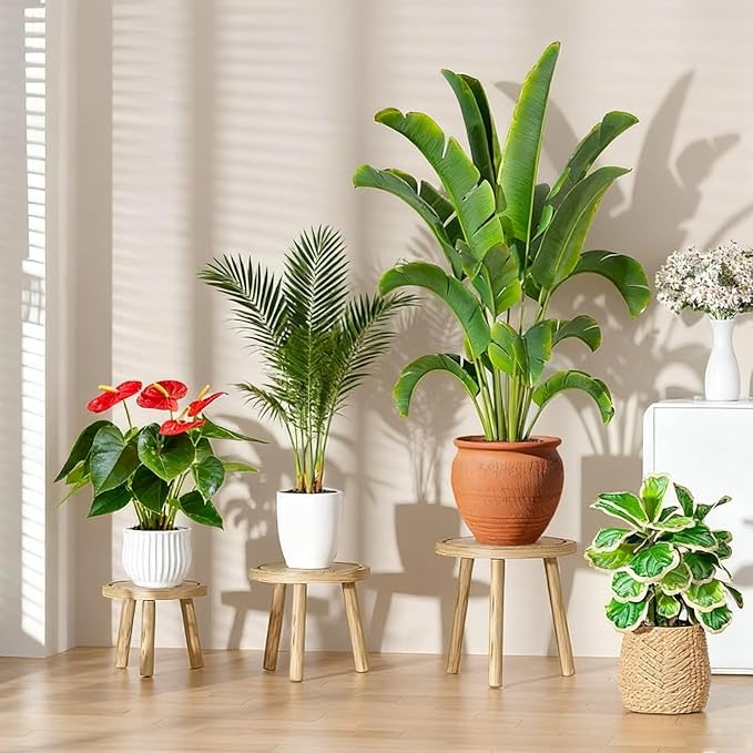 3 Pack Plant Stand Indoor Outdoor Mid-Century Modern Plant Stool Wooden Plant - Image 4