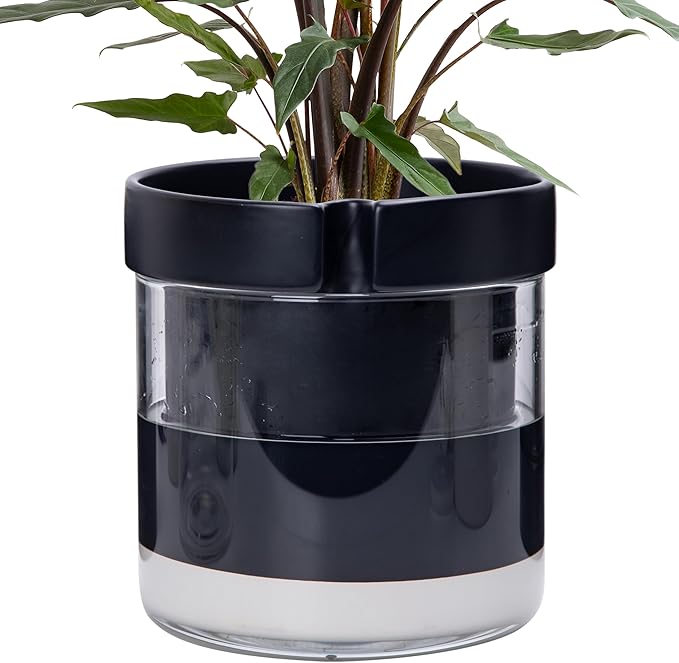 Phoenix Vine 8 Inch Self Watering Terracotta Planter by Phoenix+Vine