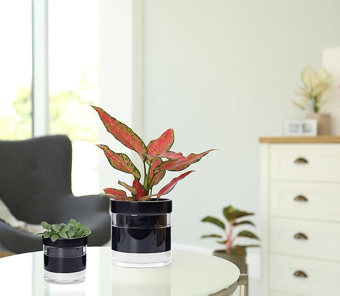 Phoenix Vine 6 Inch 4 Inch Self Watering Terracotta Planter - Image 6